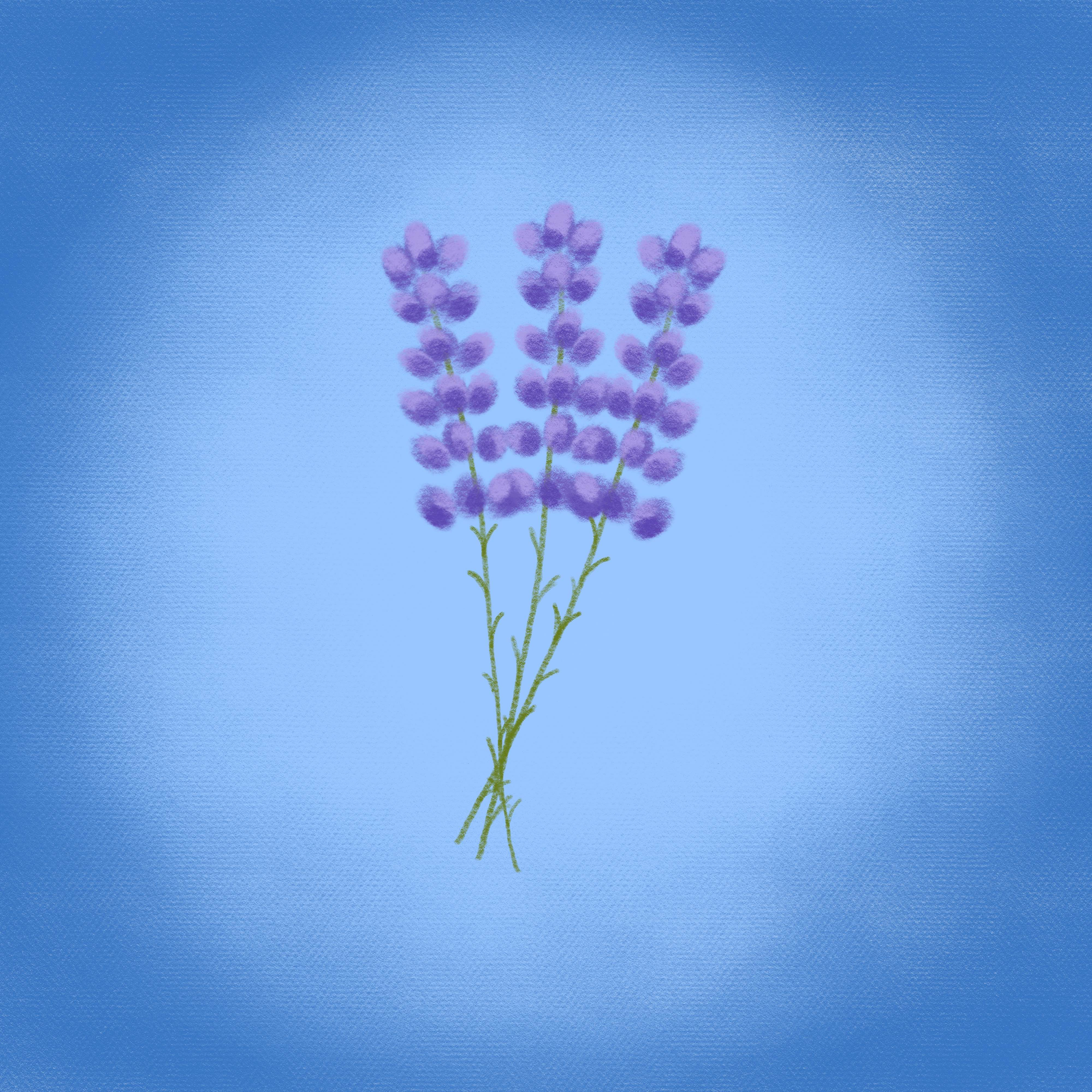 Lavender digital painting